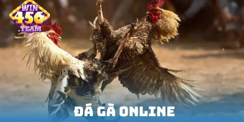 Đá gà online
